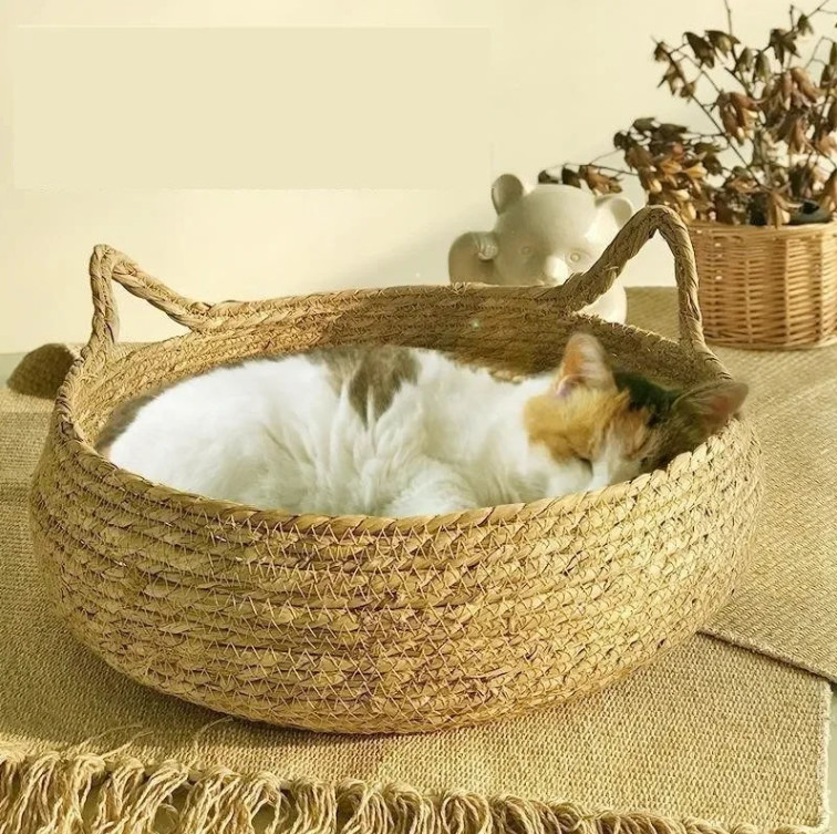 Pet Bed
